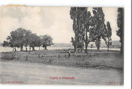 CPA Cyprés à Phanaraki Hiereia - Turquie
