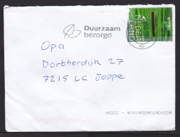 Netherlands: Cover, 2024, 1 Stamp, Narrowleaf Cattail Plant (minor Damage) - Briefe U. Dokumente