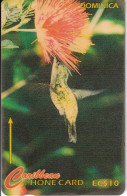 TARJETA DE DOMINICA DE $10 DE HUMMING BIRD (COLIBRI) - 230CDMB - Dominica
