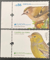 2019 Portugal Oiseaux Birds Aves - 2019