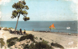 FRANCE - Ile D'Oléron - Saint Trojan - Gatseau - Carte Postale Ancienne - Ile D'Oléron