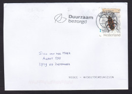 Netherlands: Cover, 2024, 1 Stamp, Bug, Beetle, Insect, Animal (traces Of Use) - Covers & Documents