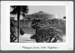 °°° Fotografia N. 6078 - Foto Palazzo Sport Eur Pugilato °°° - Lieux