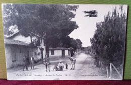 33 - Gironde - Cazaux-Lac - Avenue De Verdun M. D. Phototypie Marcel Delboy, Bordeaux , Assez Belle Animation - Other & Unclassified