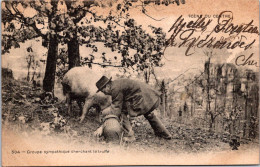 SELECTION -   DORDOGNE  -  Groupe Sympathique Cherchant La Truffe - Sonstige & Ohne Zuordnung