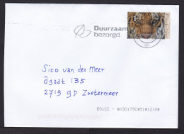 Netherlands: Cover, 2024, 1 Stamp, Tiger, Wild Animal (traces Of Use) - Briefe U. Dokumente