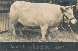 75  // PARIS   Concours Agricole De 1911 / Prix D Honneur / ELEVAGE - Autres & Non Classés