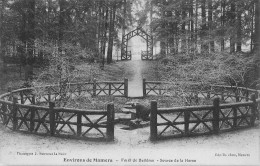 CPA Environs De Mamers-Forêt De Bellême-Source De La Herse     L2956 - Sonstige & Ohne Zuordnung