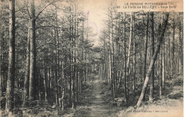 CPA Forêt De Bellême-Sous Bois-39     L2956 - Sonstige & Ohne Zuordnung