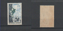1956 N°1075  Alpinisme   Neuf** (lot 512) - Unused Stamps