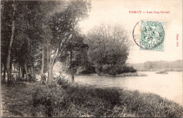 71 TORCY - Les Iles Gobet - Sonstige & Ohne Zuordnung