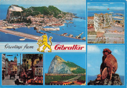 Greetings From GIBRALTAR - Gibilterra