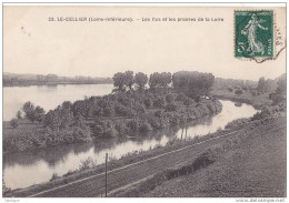 CPA  44 -  LE CELLIER - Les Iles Et Les Prairies De La Loire. - Le Cellier