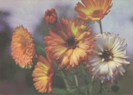 FLOWERS Vintage Postcard CPSM #PAR703.A - Blumen