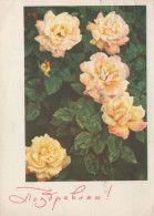 FLOWERS Vintage Postcard CPSM #PAR423.A - Blumen