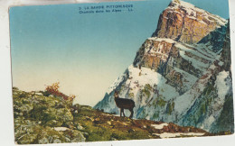 Savoie 73 Carte Non Circulée Chamois Dans Les Alpes - Sonstige & Ohne Zuordnung