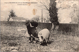 SELECTION -  Recherche De La Truffe En Périgord - Elle Est Trouvée (état) - Autres & Non Classés