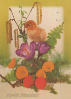 OSTERN HUHN EI Vintage Ansichtskarte Postkarte CPSM #PBP176.A - Easter
