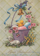 PASQUA POLLO UOVO Vintage Cartolina CPSM #PBP079.A - Easter