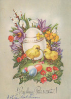 PASQUA POLLO UOVO Vintage Cartolina CPSM #PBO808.A - Easter