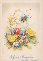 EASTER CHICKEN EGG Vintage Postcard CPSM #PBO686.A - Pasqua