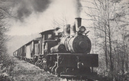 TREN TRANSPORTE Ferroviario Vintage Tarjeta Postal CPSMF #PAA452.A - Treinen