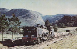 TRENO TRASPORTO FERROVIARIO Vintage Cartolina CPSMF #PAA488.A - Trains
