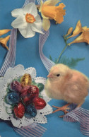 PASQUA POLLO UOVO Vintage Cartolina CPA #PKE443.A - Easter