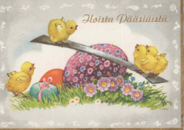 PASQUA POLLO UOVO Vintage Cartolina CPA #PKE388.A - Easter