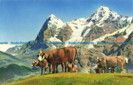 R657627 Motiv Aus Dem Berner Oberland. Mit Eiger Und Monch. H. Steinhauer - Monde