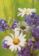 FIORI Vintage Cartolina CPSM #PAR195.A - Flowers