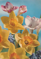 FIORI Vintage Cartolina CPSM #PAR100.A - Flowers