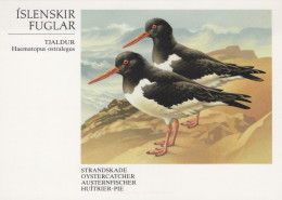 UCCELLO Animale Vintage Cartolina CPSM #PAN109.A - Birds