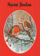 BIRD Animals Vintage Postcard CPSM #PAM941.A - Birds