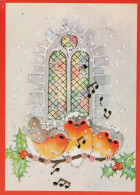 VOGEL Tier Vintage Ansichtskarte Postkarte CPSM #PAM900.A - Birds