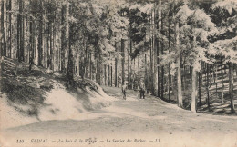 FRANCE - Épinal - Le Bois De La Vierge - Le Sentier Des Roches - Animé - Carte Postale Ancienne - Epinal