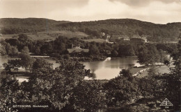 SUEDE - Goteborgs - Slottskogen - Vue Sur Le Village - Vue D'ensemble - Carte Postale - Svezia