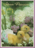 PASCUA POLLO Vintage Tarjeta Postal CPSM #PBO977.A - Easter