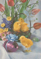 PÂQUES POULET ŒUF Vintage Carte Postale CPSM #PBP135.A - Easter