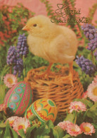PÂQUES POULET ŒUF Vintage Carte Postale CPSM #PBP120.A - Easter