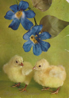 PÂQUES POULET ŒUF Vintage Carte Postale CPSM #PBO674.A - Pasqua