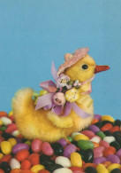 PASQUA UOVO Vintage Cartolina CPSM #PBO193.A - Easter