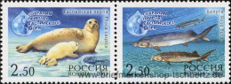 Russland 2003, Mi. 1118-19 ZD ** - Ongebruikt