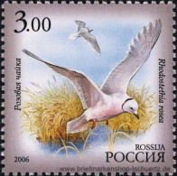 Russland 2006, Mi. 1372-76 ** - Nuovi
