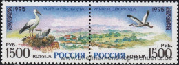 Russland 1995, Mi. 471-72 ZD ** - Unused Stamps