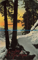R656191 A Merry Christmas. Forest. Postcard - World