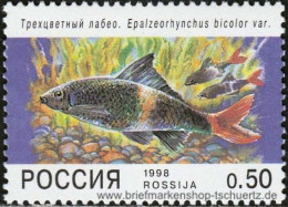 Russland 1998, Mi. 646-50 ** - Unused Stamps