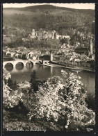 AK Heidelberg / Neckar, Ortsansicht Mit Brücke Und Baumblüte  - Heidelberg