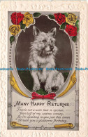 R656196 Many Happy Returns. Dog. Postcard - World