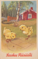 OSTERN HUHN EI Vintage Ansichtskarte Postkarte CPA #PKE100.A - Easter